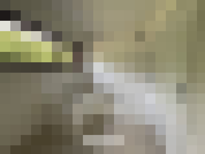 Image 69