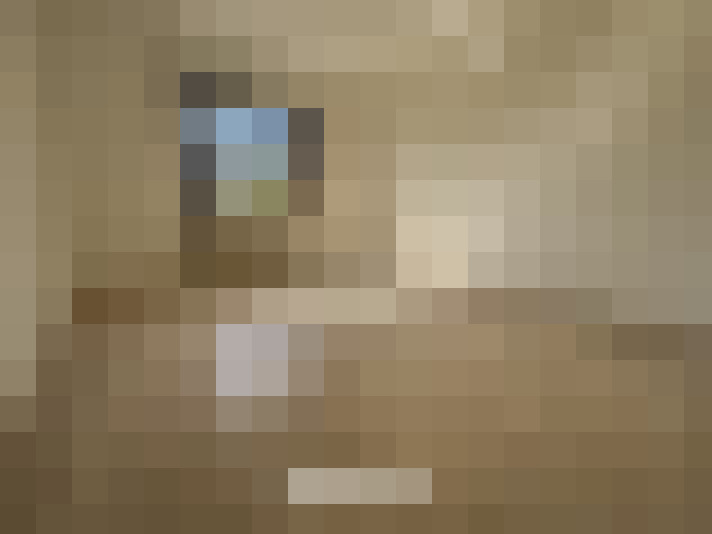 Image 53
