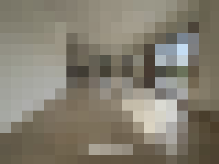 Image 26