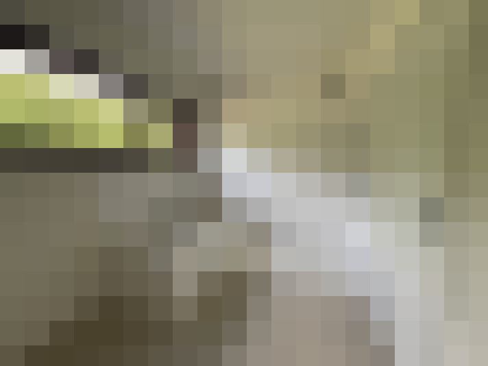 Image 70