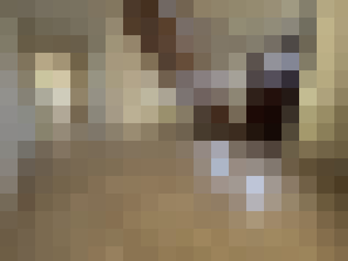 Image 41