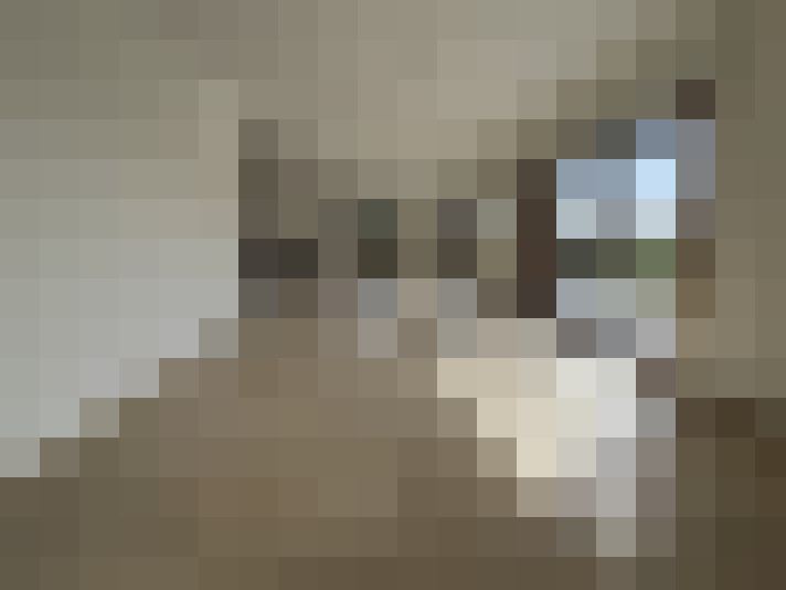 Image 27