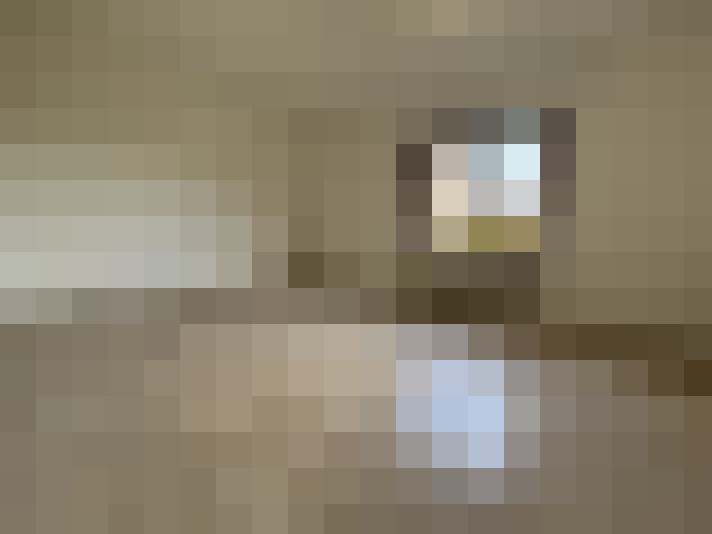 Image 47