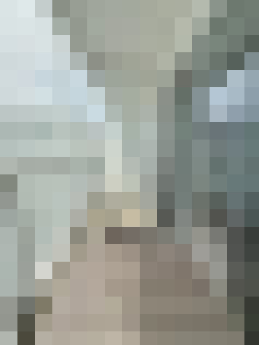 Image 13
