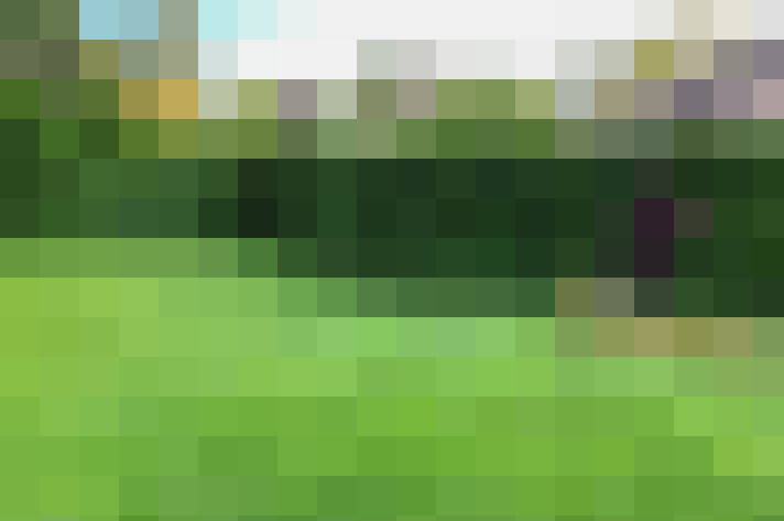 Image 30