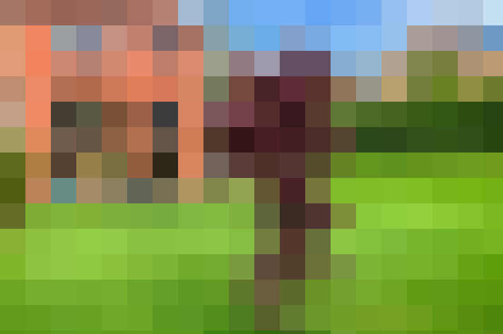 Image 27