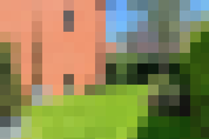 Image 31