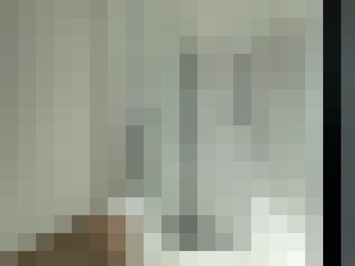 Image 14
