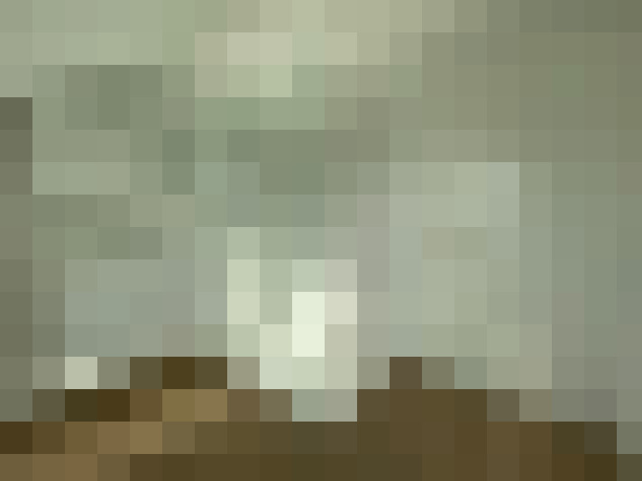 Image 34