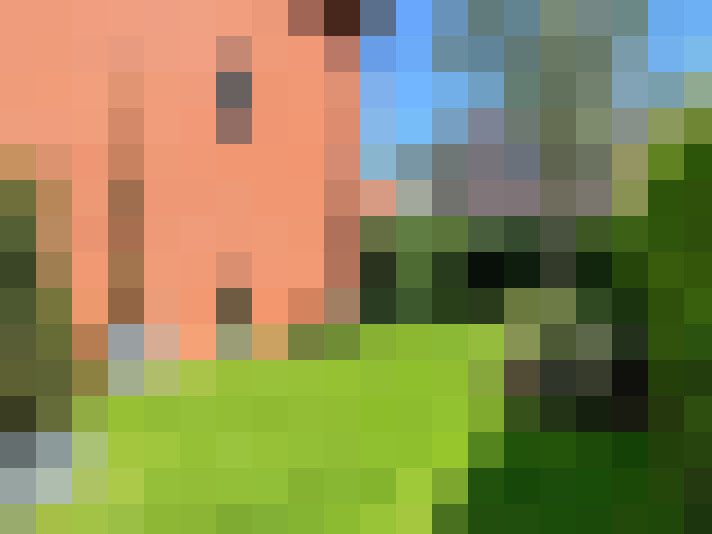 Image 31