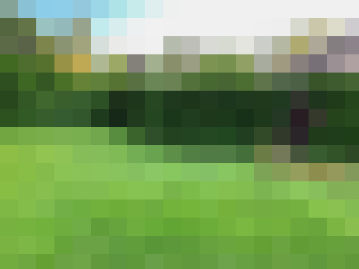 Image 30