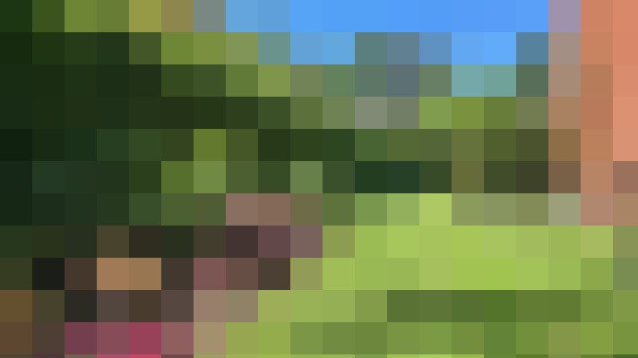 Image 32