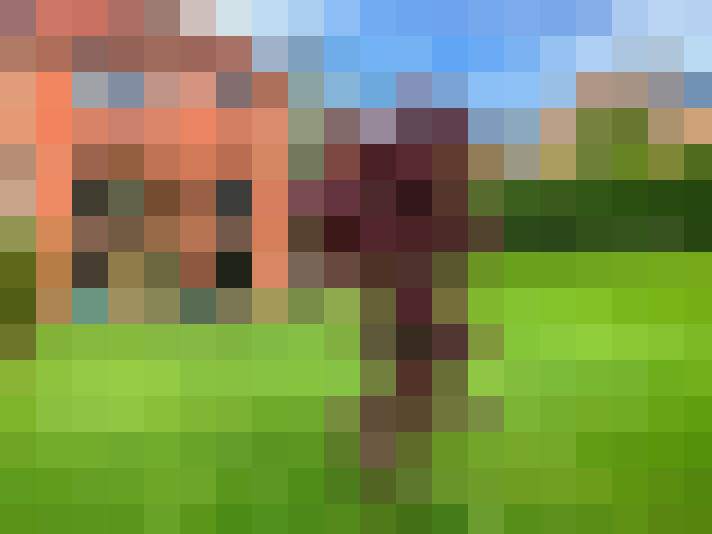 Image 27
