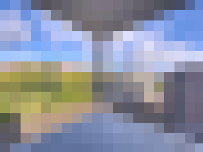 Image 14