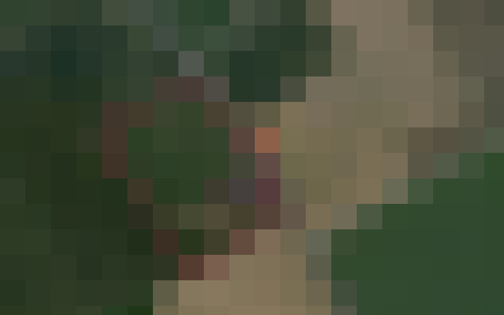 Image 32