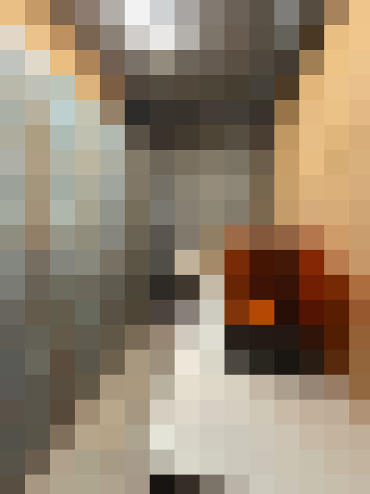 Image 21