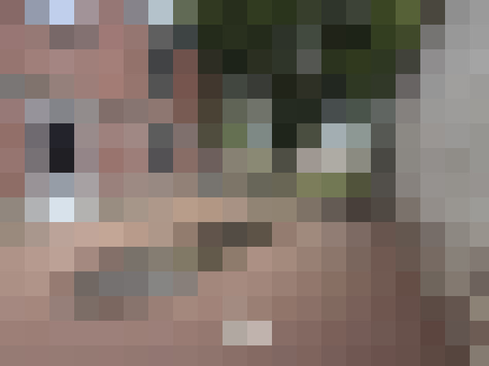 Image 29