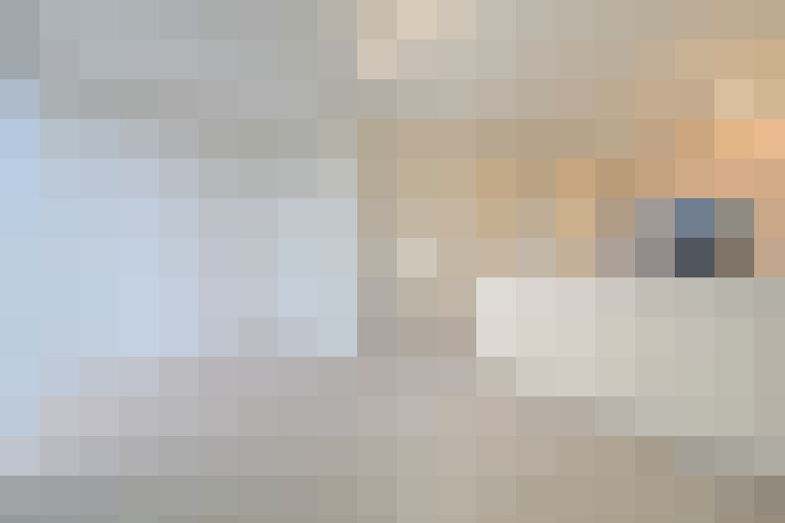 Image 20
