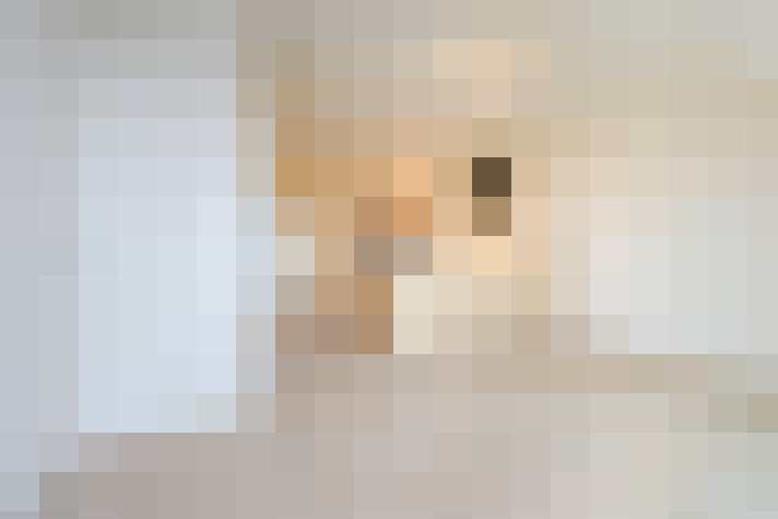 Image 17