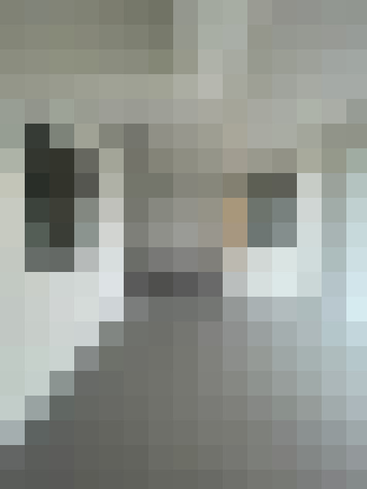 Image 20