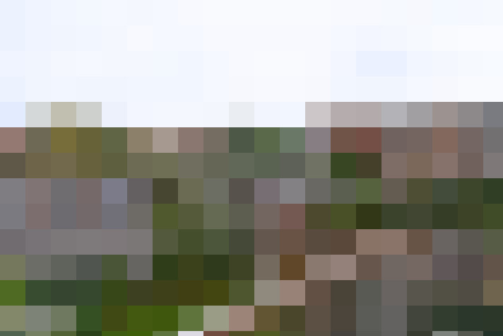 Image 17