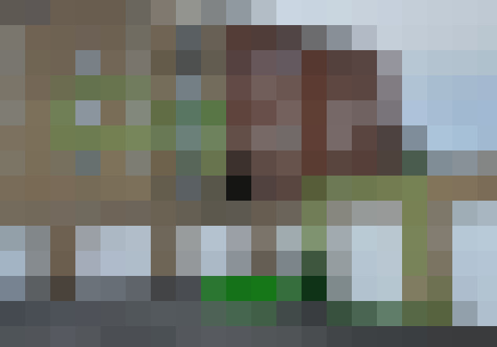 Image 17