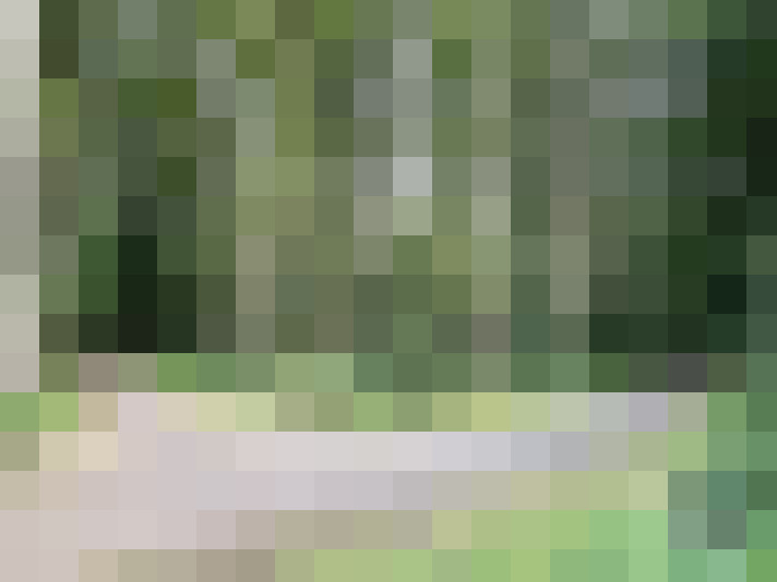 Image 27