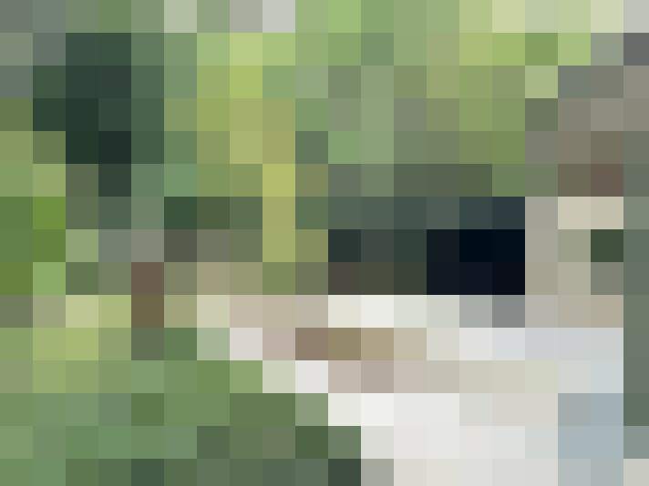 Image 26