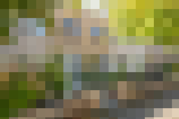 Image 20