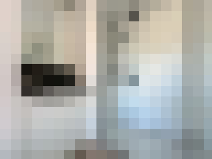 Image 17