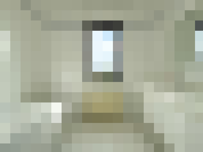 Image 16
