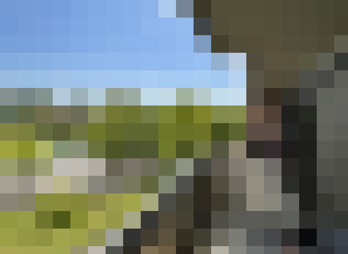 Image 16