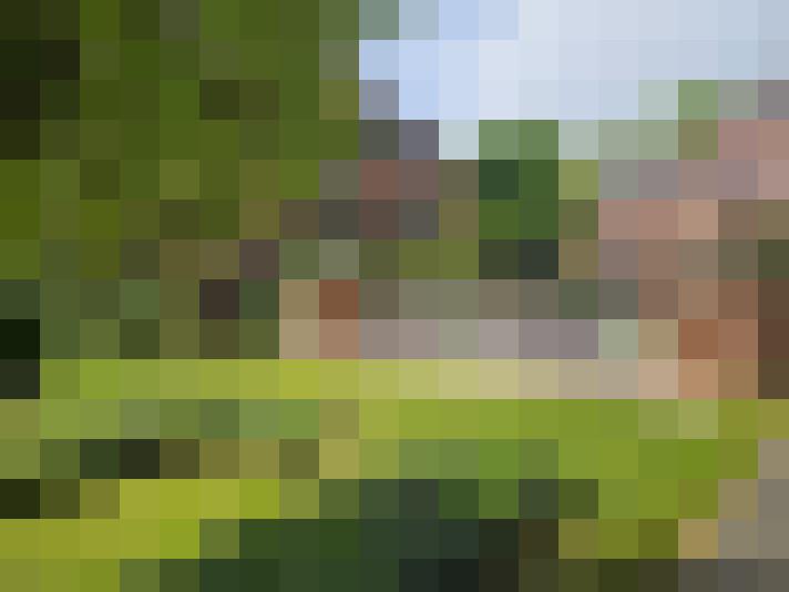 Image 13