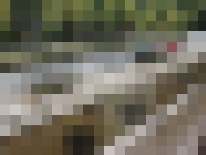 Image 28