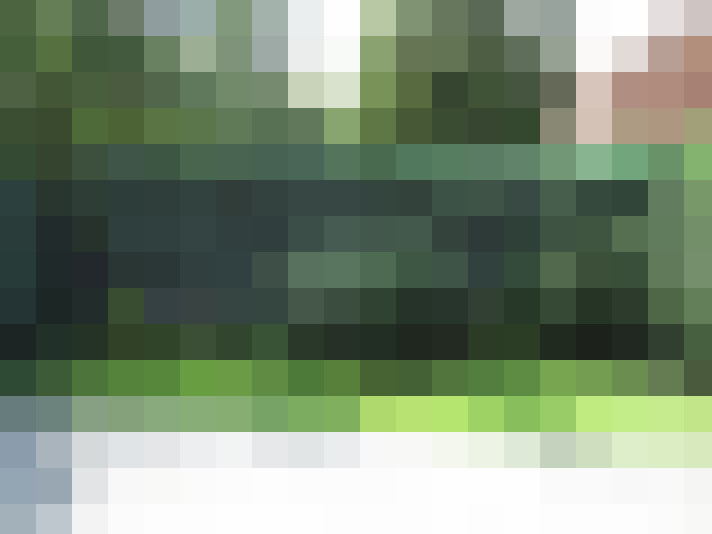 Image 27