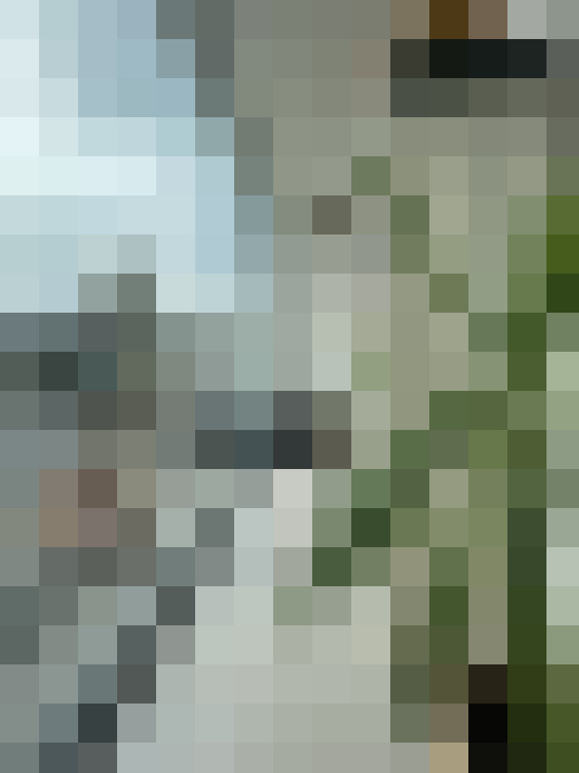 Image 18