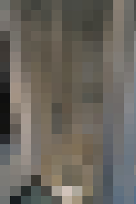 Image 31