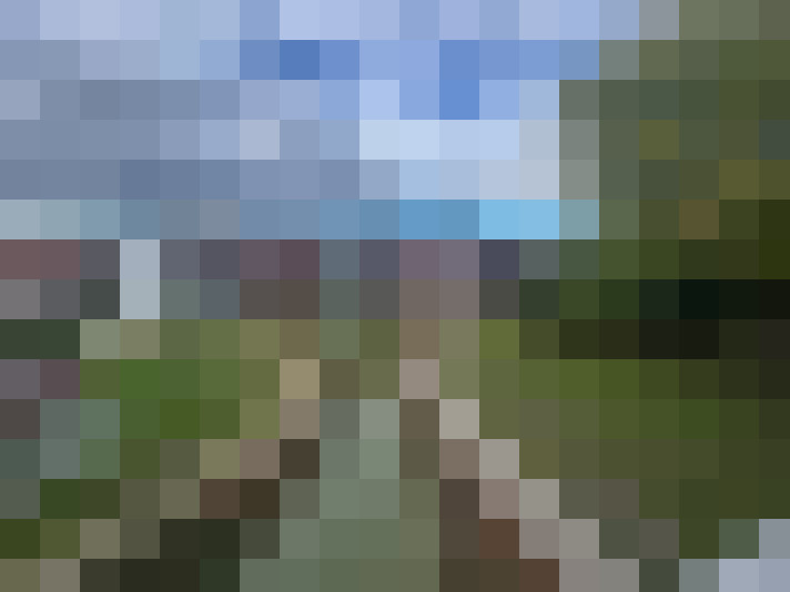 Image 13