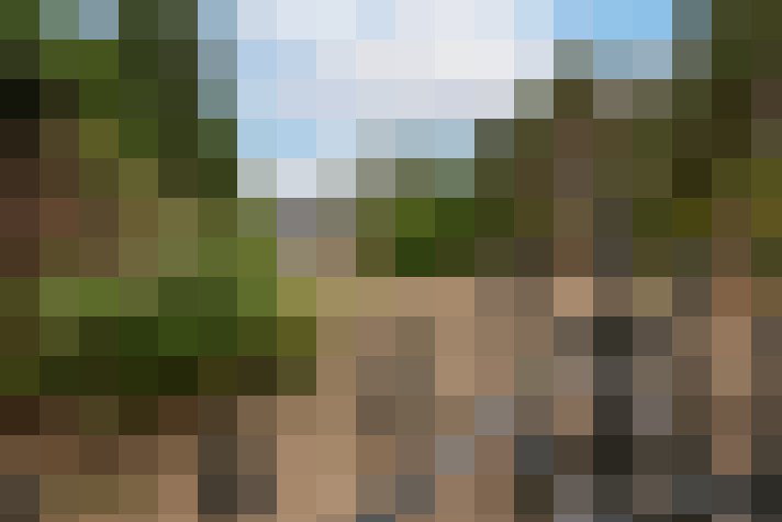 Image 31