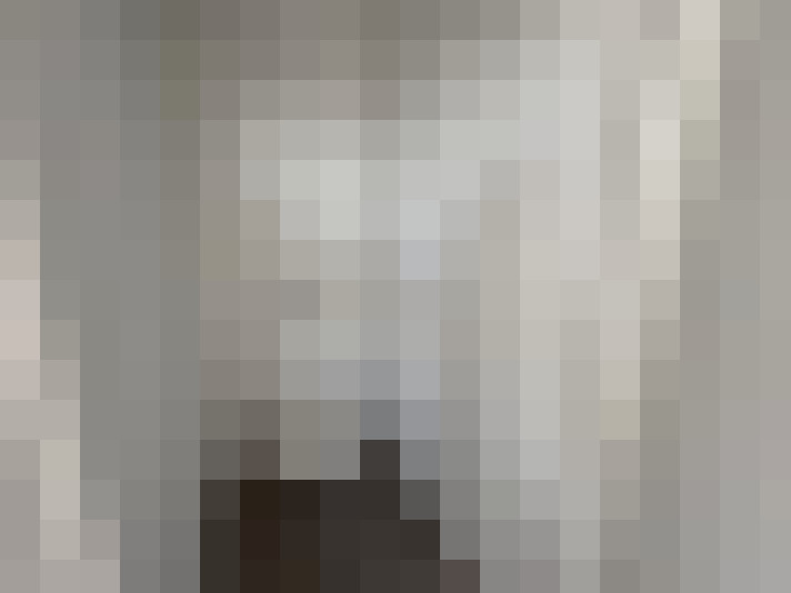 Image 29