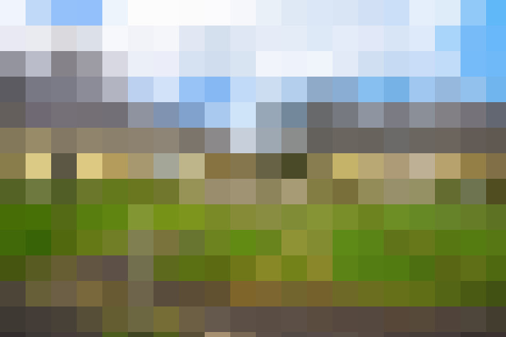 Image 13