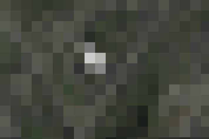 Image 20