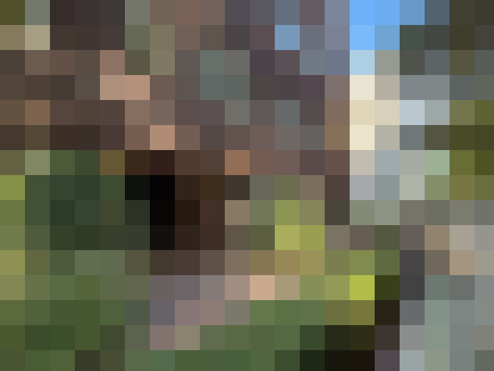 Image 32