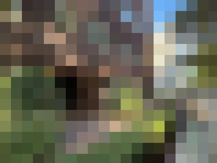 Image 34
