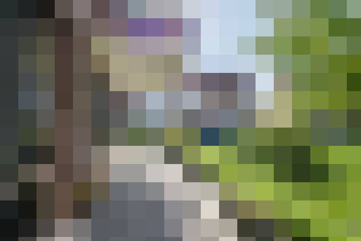 Image 15