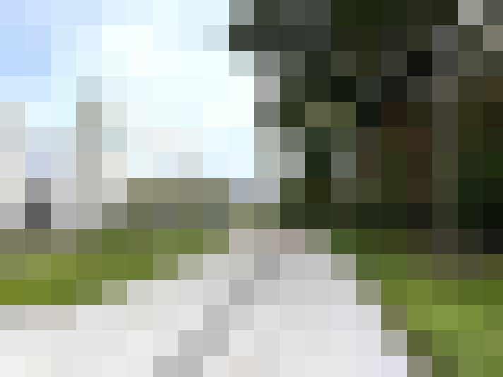 Image 23