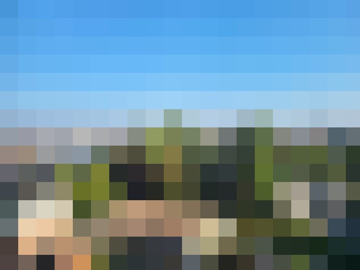 Image 15