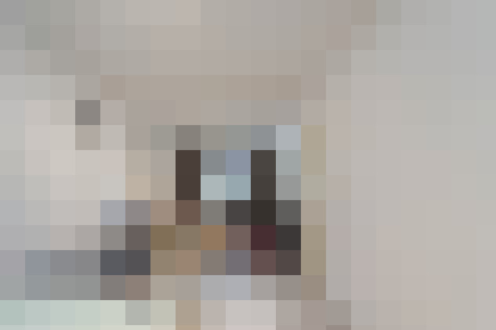 Image 20