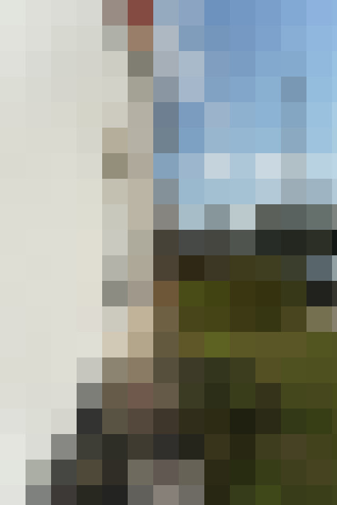 Image 29