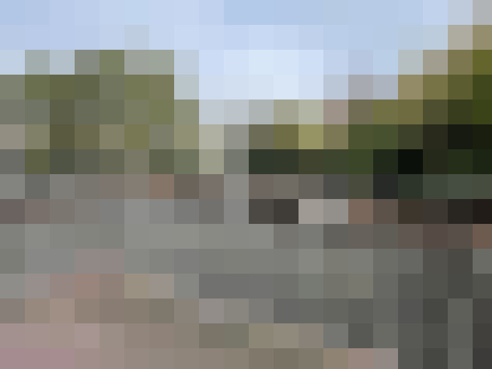Image 15